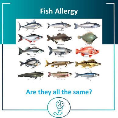 Fish Allergy: An In.